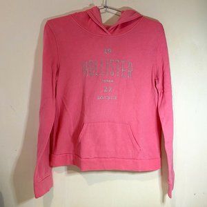 Hollister Icon Hoodie